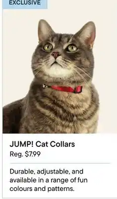 Petvalu JUMP! Cat Collars offer