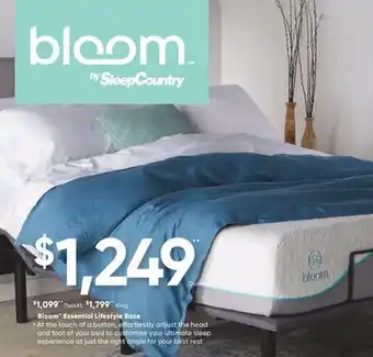 Sleep Country Bloom Essential Lifestyle Base offer