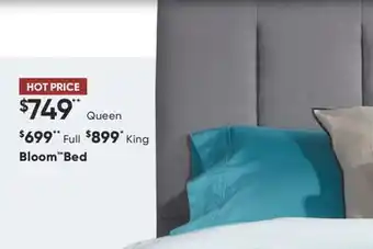 Sleep Country Bloom Bed offer