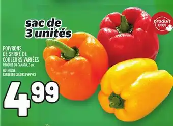 Metro POIVRONS DE SERRE DE COULEURS VARIÉES | HOTHOUSE ASSORTED COLORS PEPPERS offer