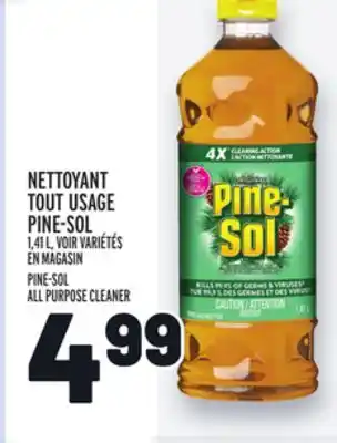 Metro NETTOYANT TOUT USAGE PINE-SOL | PINE-SOL ALL PURPOSE CLEANER offer