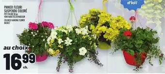 Metro PANIER FLEURI SUSPENDU COLORÉ | COLORED HANGING FLOWER BASKET offer