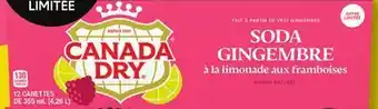IGA CANADA DRY offer