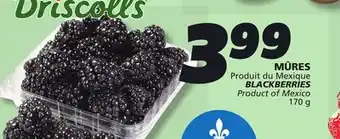 IGA BLACKBERRIES offer