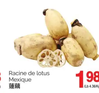 T&T Supermarket Racine de lotus offer