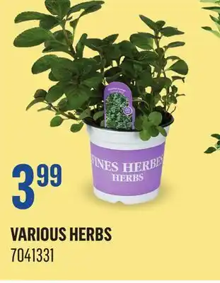Canac Various Herbs offer