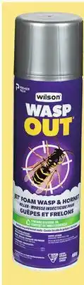 Canac Wasp Out and Hornet Killer 450 g offer