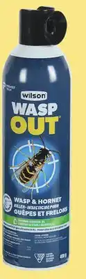 Canac Wasp Out and Hornet Killer 400 g offer