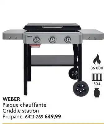 Home Hardware Griddle station offer
