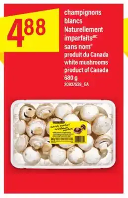 Maxi CHAMPIGNONS BLANCS NATURELLEMENT IMPARFAITSMC SANS NOM ,680 g offer