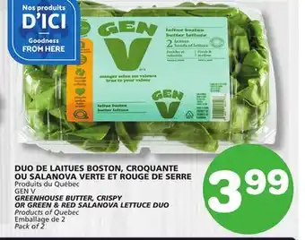 Marches Tradition GEN V GREENHOUSE BUTTER, CRISPY OR GREEN & RED SALANOVA LETTUCE DUO offer
