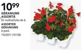 RONA ASSORTED GERANIUMS offer