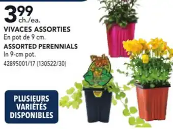 RONA ASSORTED PERENNIALS offer