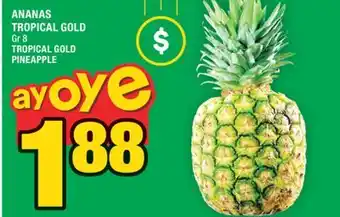 Super C ANANAS TROPICAL GOLD | TROPICAL GOLD PINEAPPLE offer