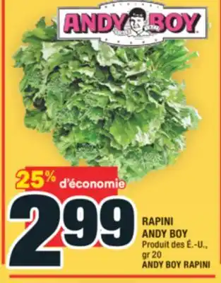 Super C RAPINI ANDY BOY | ANDY BOY RAPINI offer