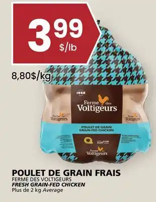 Rachelle-Bery Grocery FERME DES VOLTIGEURS FRESH GRAIN-FED CHICKEN offer