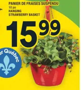 Super C PANIER DE FRAISES SUSPENDU | HANGING STRAWBERRY BASKET offer