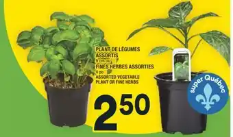 Super C PLANT DE LÉGUMES ASSORTIS | ASSORTED VEGETABLE PLANT offer
