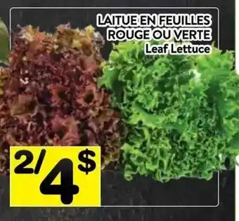Supermarché PA Leaf Lettuce offer