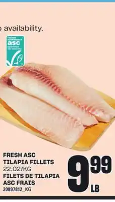 Independent City Market FILETS DE TILAPIA ASC FRAIS offer