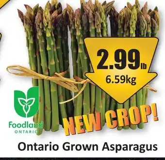 Starsky Ontario Grown Asparagus offer