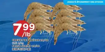 Kim Phat FRESH SHRIMP 20/30 offer