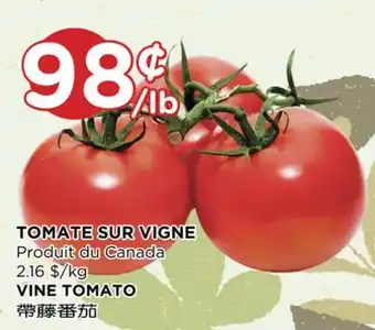 Kim Phat VINE TOMATO offer