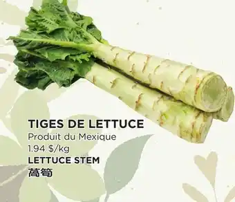 Kim Phat LETTUCE STEM offer