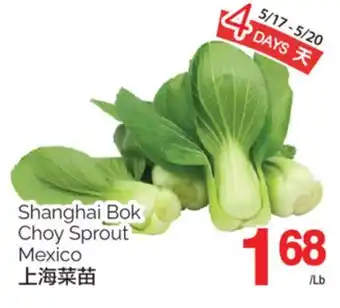 T&T Supermarket SHANGHAI BOK CHOY SPROUT offer