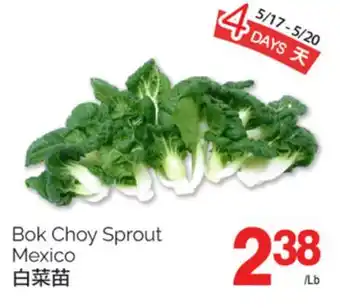 T&T Supermarket BOK CHOY SPROUT MEXICO offer