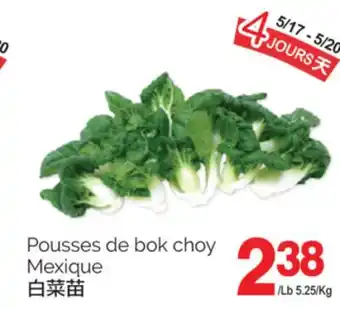 T&T Supermarket POUSSES DE BOK CHOY MEXIQUE offer