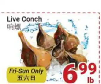 Oceans Fresh Food Market Live Conch offer