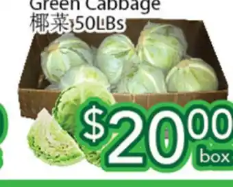 Ample Food Market Green Cabbage offer