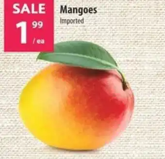 Co-op Mangoes offer