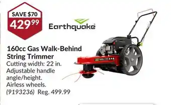 Princess Auto 160cc Gas Walk-Behind String Trimmer offer