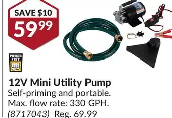 Princess Auto 12V Mini Utility Pump offer