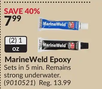Princess Auto MarineWeld Epoxy Sets offer