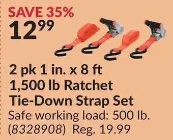 Princess Auto 1 500 lb Ratchet Tie-Down Strap Set offer