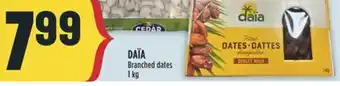 Marché Adonis DAÏA Branched dates offer