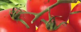 Giant Tiger 1 lb tomatoes on the vine offer