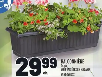 Metro BALCONNIÈRE | WINDOW BOX offer