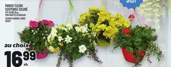 Metro PANIER FLEURI SUSPENDU COLORÉ | COLORED HANGING FLOWER BASKET offer