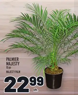 Metro PALMIER MAJESTY | MAJESTY PALM offer