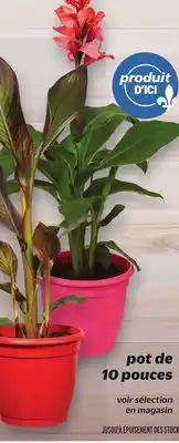 Metro PLANTE CANNA | CANNA PLANT offer