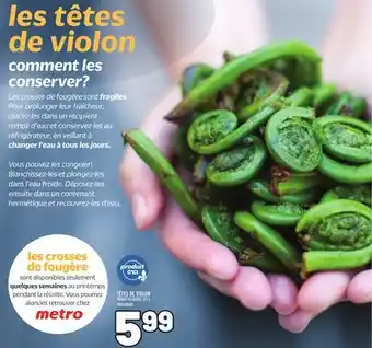 Metro TÊTES DE VIOLON | FIDDLEHEADS offer