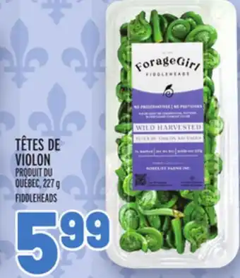 Metro TÊTES DE VIOLON | FIDDLEHEADS offer