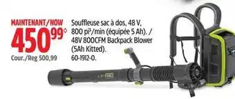 Canadian Tire YARDWORKS 48V 800CFM Backpack Blower (5Ah Kitted) offer