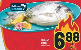 Marché Adonis DAURADE ROYALE offer