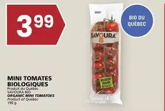 Rachelle-Bery Grocery SAVOURA BIO ORGANIC MINI TOMATOES offer