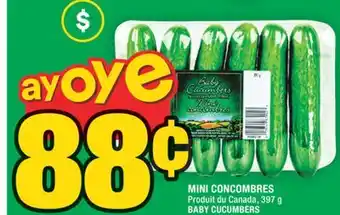 Super C MINI CONCOMBRES | BABY CUCUMBERS offer